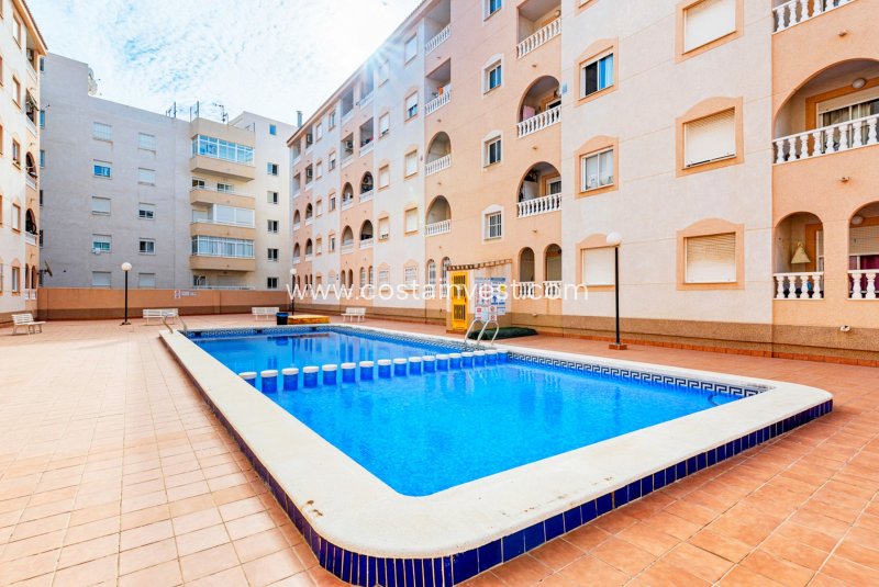 Apartment - Wiederverkauf - Torrevieja - Downtown