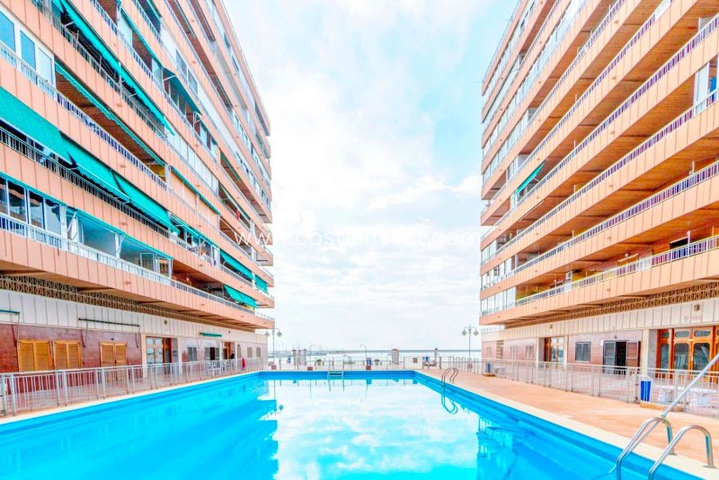 Appartement - Herverkoop - Torrevieja - Playa del Acequión
