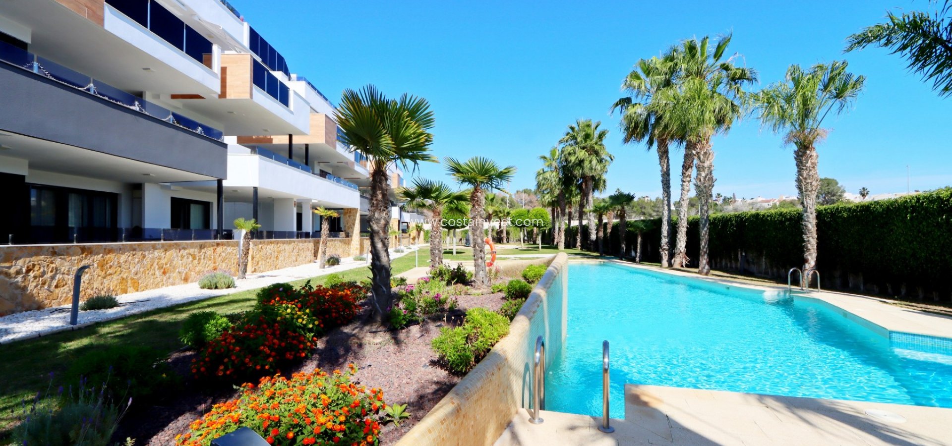 New Build - Apartment - Orihuela Costa - Los Altos 