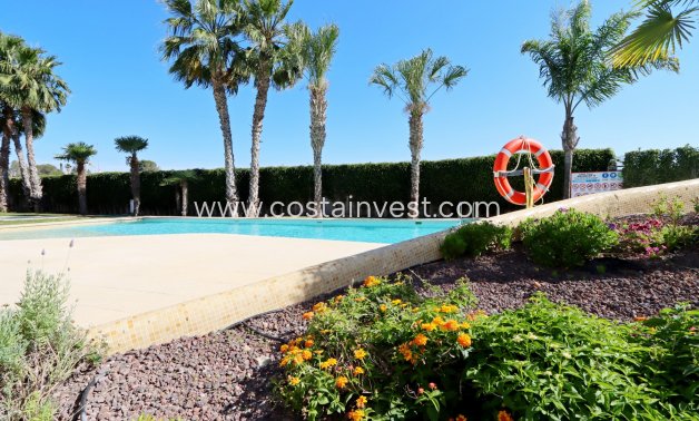 New Build - Apartment - Orihuela Costa - Los Altos 