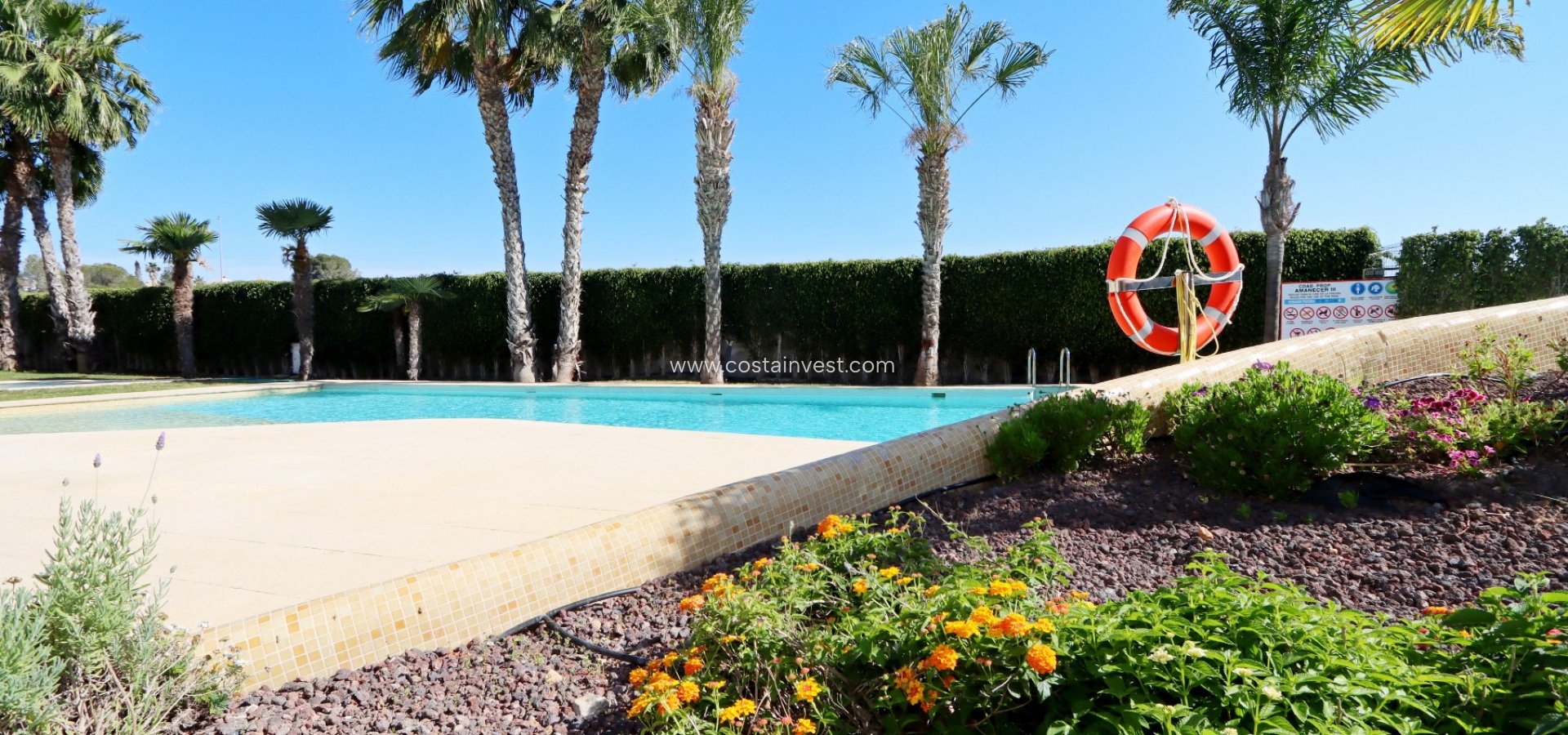 New Build - Apartment - Orihuela Costa - Los Altos 