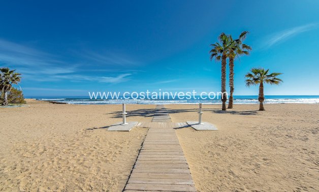 Nybyggnad - Lägenhet - La Mata