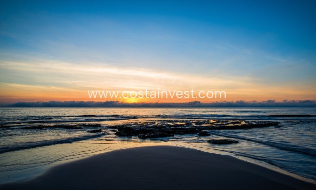 Nybyggnad - Lägenhet - La Mata