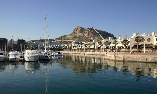 Nybyggnad - Lägenhet - La Mata