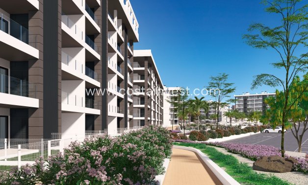 Nybyggnad - Lägenhet - La Mata