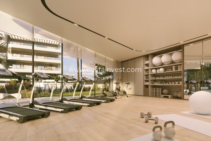 Apartamento en venta en Torrevieja zona Torrevieja