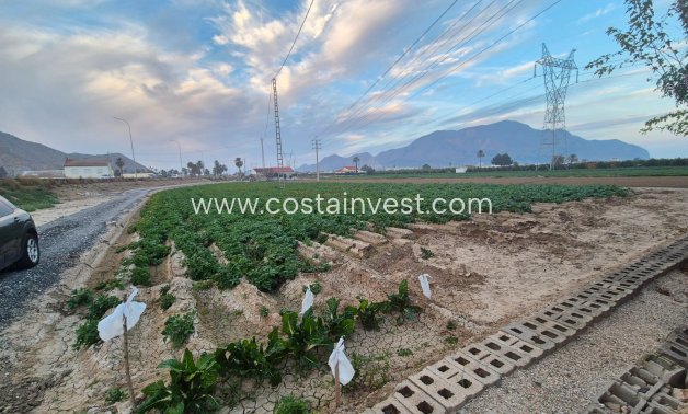 Resale - Finca - Orihuela