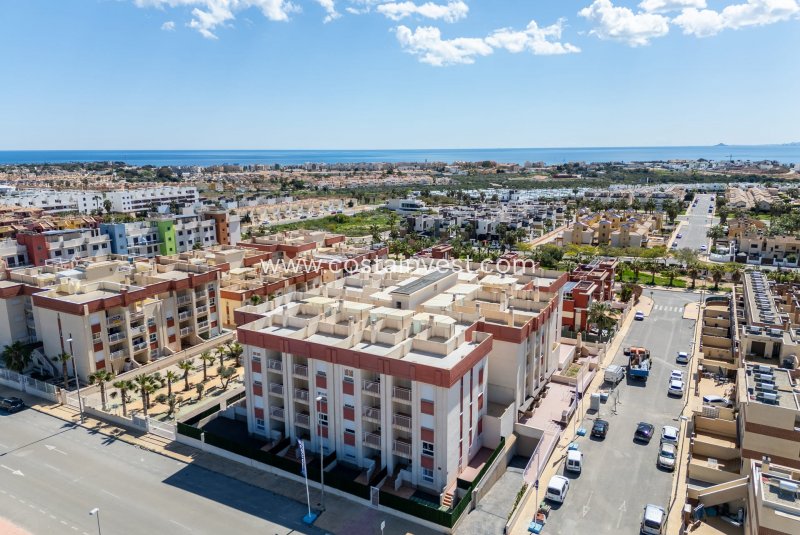 Lägenhet - Nybyggnad - Orihuela Costa - Orihuela Costa