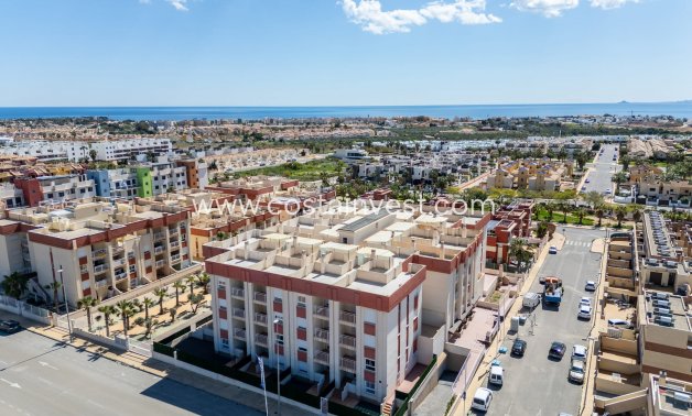 Nybyggnad - Lägenhet - Orihuela Costa