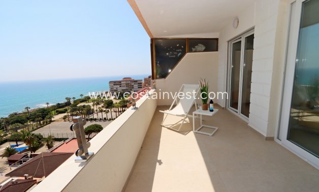 Resale - Penthouse - Torrevieja - Cabo Cervera