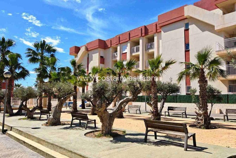 Apartamento - Reventa - Orihuela Costa - Lomas de Cabo Roig 