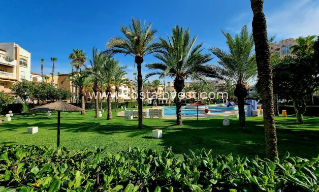 Resale - Ground Floor Apartment - Torrevieja - Playa de los Locos