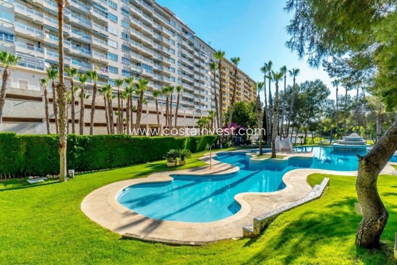 Apartment - Wiederverkauf - Orihuela Costa - Dehesa de Campoamor