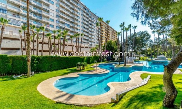 Resale - Apartment - Orihuela Costa - Dehesa de Campoamor