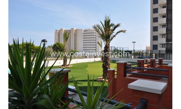 Nybyggnad - Takvåning - Alicante