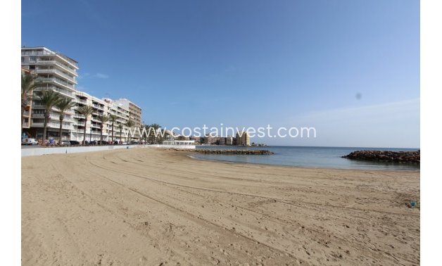 Alquiler - Apartamento - Torrevieja - Playa del Cura