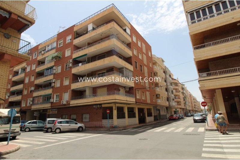 Apartament - Rynek wtórny - Torrevieja - Torrevieja