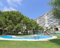 Rental - Apartment - Orihuela Costa