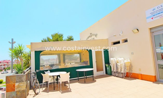 Další prodej - Bar/restaurace - Orihuela Costa - La Zenia