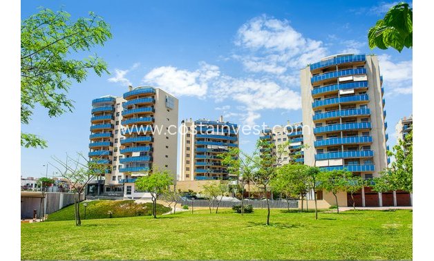 Neubau - Apartment - Alicante - El Campello