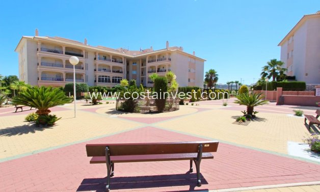 Uthyrning - Lägenhet - Orihuela Costa - Playa Flamenca