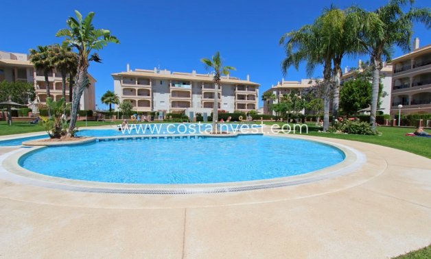 De location - Appartement - Orihuela Costa - Playa Flamenca