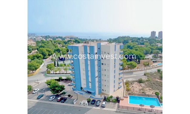 Nueva construcción  - Apartamento - Orihuela Costa - Dehesa de Campoamor