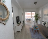 Alquiler - Apartamento - Torrevieja