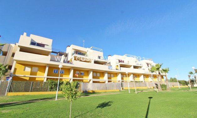 Vermietung - Stadthaus - Orihuela Costa - Playa Flamenca