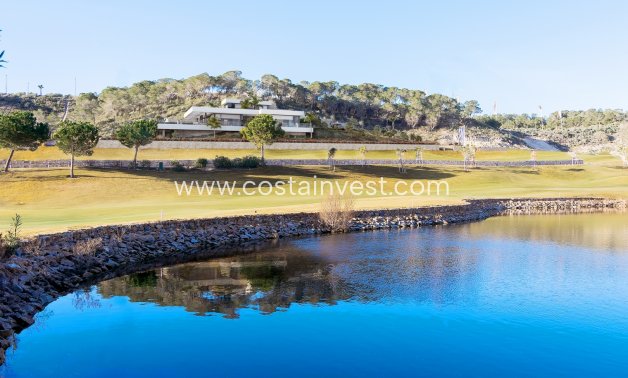 Nueva construcción  - Chalet - Orihuela Costa - Colinas golf