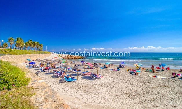 Begagnat - Radhus - Orihuela Costa - Playa Flamenca